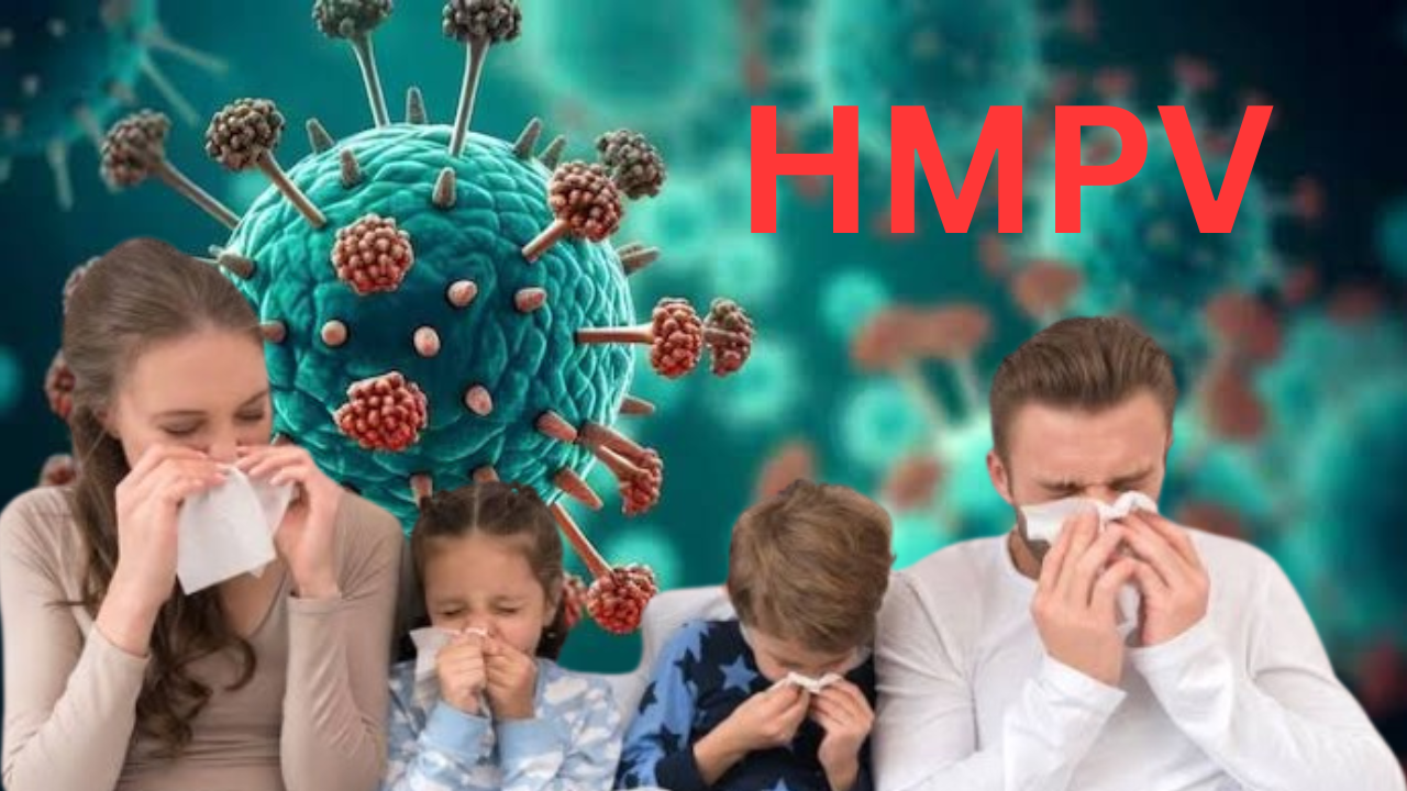 H5N1 Bird Flu – A Comprehensive Exploration